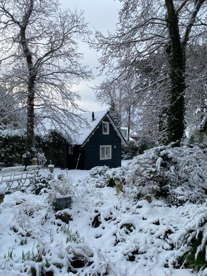 Garden Find Zandvoort Bentveld Luaran gambar
