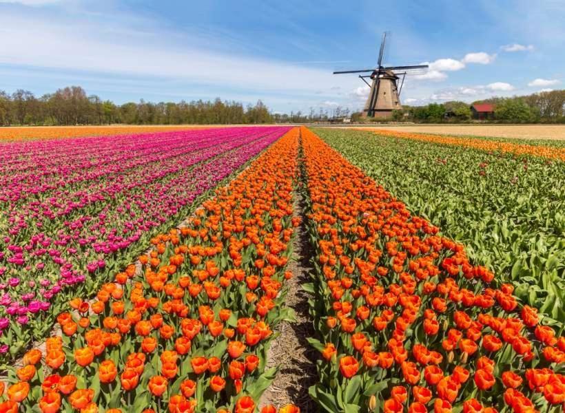 Garden Find Zandvoort Bentveld Luaran gambar